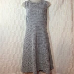 Ann Taylor Loft Women's Dress